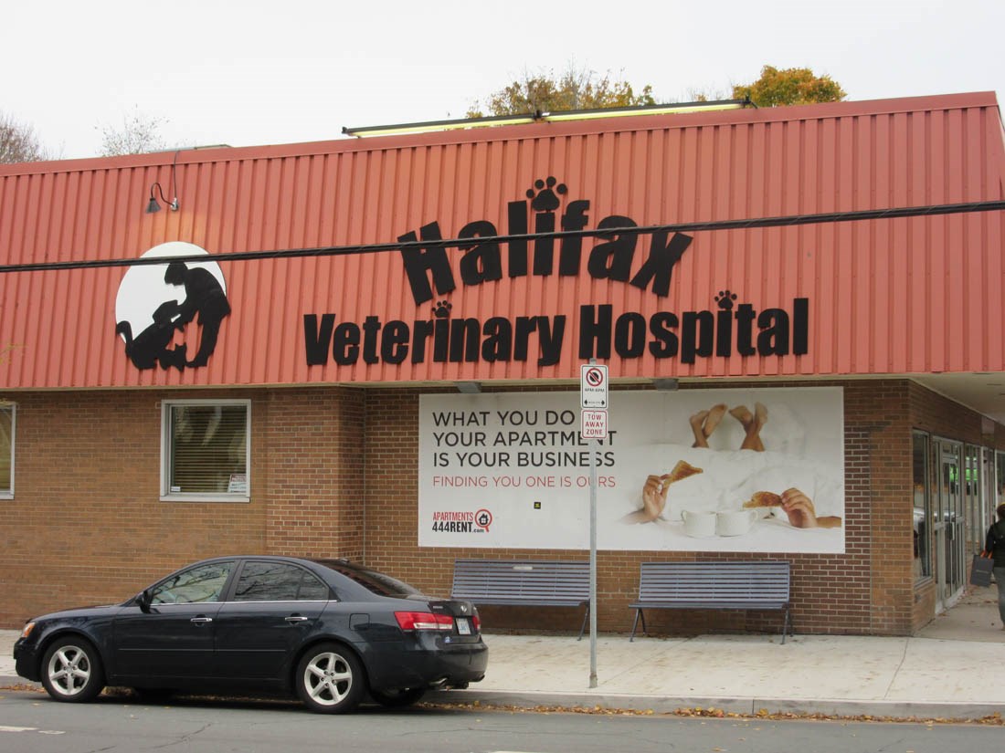 Interior FitUp of the Halifax Veterinary Hospital